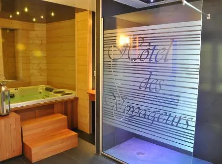 Hotel Des Voyageurs 3*